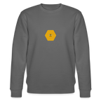 Bee & honeycomb organic cotton men's sweatshirt - anthracite