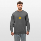 Bee & honeycomb organic cotton men's sweatshirt - anthracite