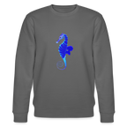 Seahorse organic cotton men's sweatshirt - anthracite
