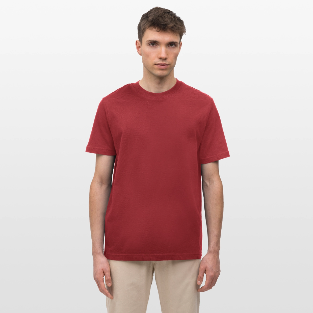 Alvi Relaxed Fit Men's Organic T-Shirt - red earth